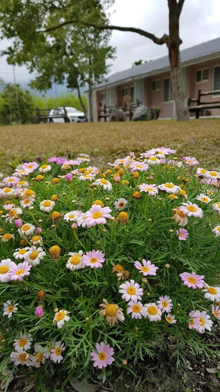 鳳 Kobaya 薔薇 如 画 星空 民宿 Fenglin Εξωτερικό φωτογραφία